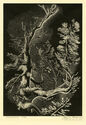 Mountain Fir by Joseph Samuel Donat