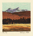 Afternoon, Tuolumne Meadow - from: Tuolumne: Yosemite, Book I by Micah Schwaberow