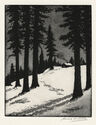 (Trees in Snow) by Harold Doolittle
