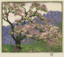 Apple Blossoms by Gustave Baumann