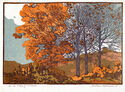 In the Hills of Brown by Gustave Baumann
