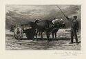 Basque Cart - frontispiece, In the Shadow of the Pyrenees by James David Smillie