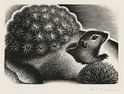 Chipmunk (illustration for The Road of a Naturalist) by Paul Hambleton Landacre