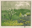 Cherry Bloom by Gustave Baumann