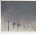 Fog in the Morning by Elizabeth Quandt