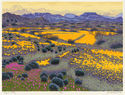 Arizona Gold by Gordon Louis Mortensen