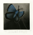 Vanishing V (Smiths Blue Butterfly) by Holly Downing