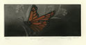 Vanishing X (Monarch Butterfly) by Holly Downing