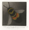 Vanishing II (Rusty Patched Bumblebee) by Holly Downing