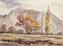 View of Mt. Timpanogos by Jane L. Swensen