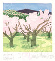 Orchard Blossoms by Laura Williams