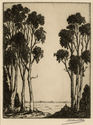 (Eucalyptus and Ocean) by Harold Doolittle