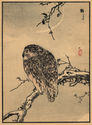 (Owl and Moon) - from the Hyakucho Gafu Vol. 3, One Hundred Birds by Kono Bairei