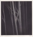 Incandescence II by Robert Kipniss