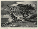 Ghost Tree (a.k.a. Tortured Trees) by Howard Everett Smith