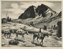 Duck Mountain by Howard Everett Smith