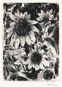 (Sunflowers) by Unidentified