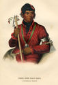 Tshi-Zun-Hau-Kau, A Winnebago Warrior by John T. Bowen