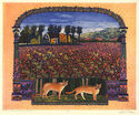 Appellation Oakville, Napa County, California by Gail Ann Packer